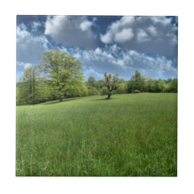 Azulejo Decorativo Verde Appalachiano (Frente)