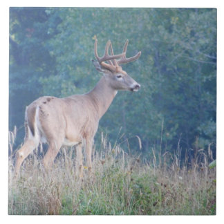 Azulejo decorativo Whitetail Deer (Perfil)