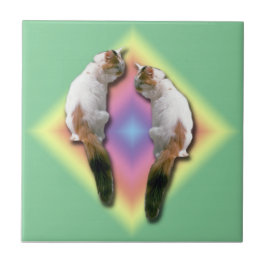 Azulejo - Diamante arco-íris com gatos