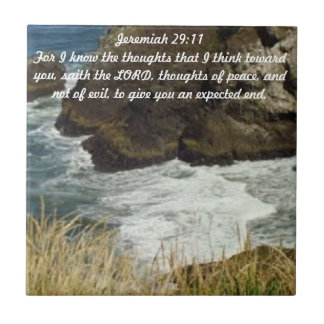 Azulejo do 29:11 de Jeremiah