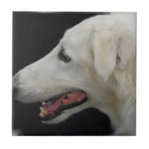 Azulejo do Borzoi