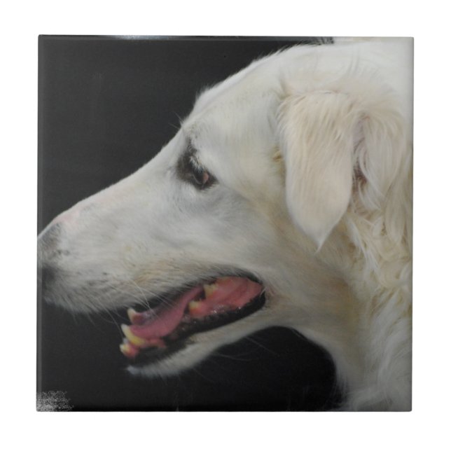 Azulejo do Borzoi (Frente)