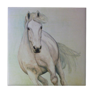 "Azulejo do cavalo branco"