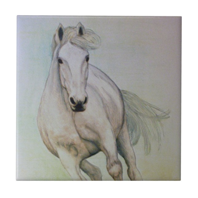 "Azulejo do cavalo branco" (Frente)