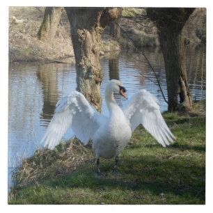 Azulejo do Cisne em Pé com Asas Espalhadas