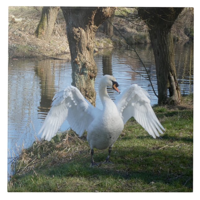Azulejo do Cisne em Pé com Asas Espalhadas (Frente)