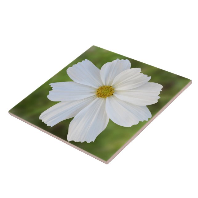 Azulejo do cosmos (Lateral)