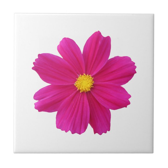 Azulejo do Cosmos Flower (Frente)