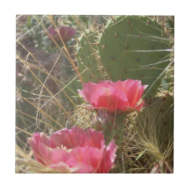 Azulejo do Desert Blooms (Frente)