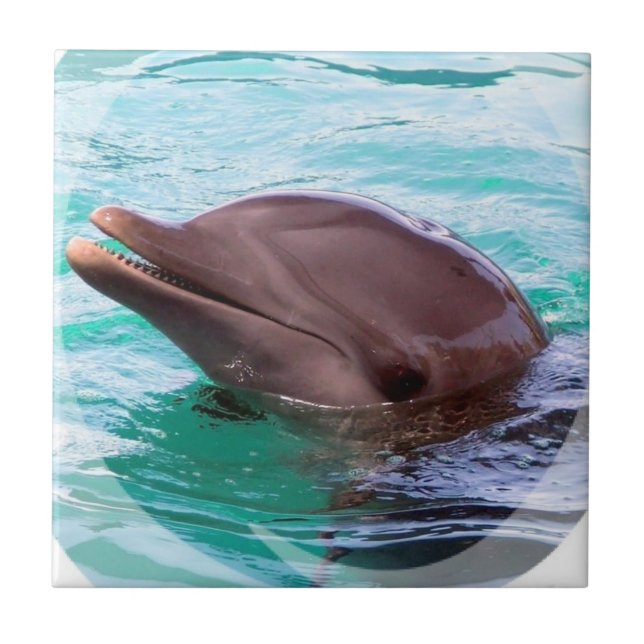 Azulejo do design do golfinho (Frente)