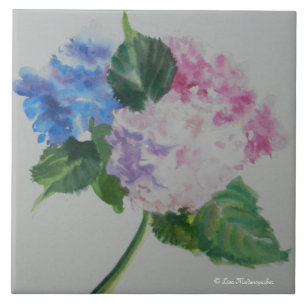 Azulejo do Hydrangea