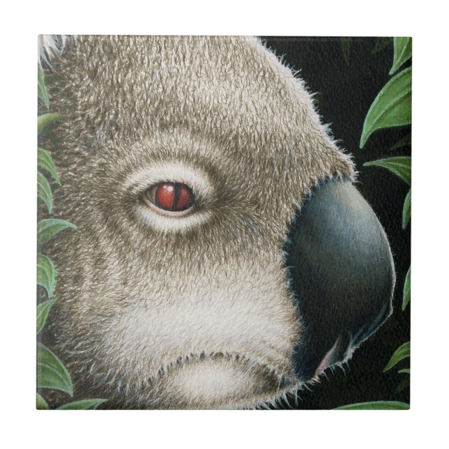Azulejo do Koala (Frente)