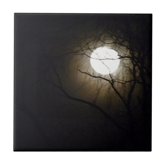 Azulejo do Moonrise (Frente)