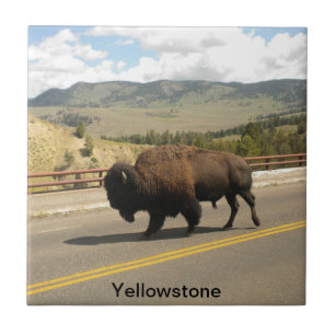 Azulejo do parque nacional de Yellowstone (2)