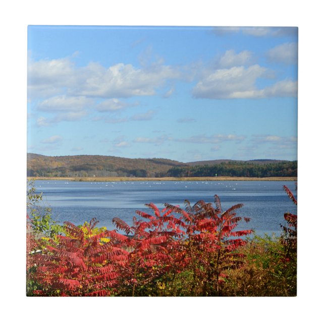 Azulejo do rio Connecticut (Frente)