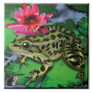 Azulejo do sapo de leopardo