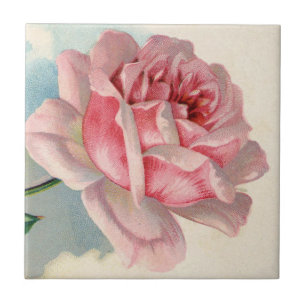 Azulejo do vintage do rosa do rosa