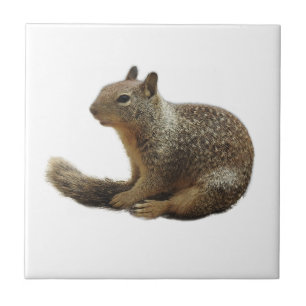 Azulejo dos animais selvagens, animais cerâmicos,