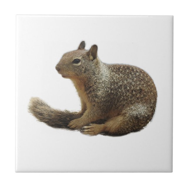 Azulejo dos animais selvagens, animais cerâmicos, (Frente)