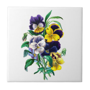Azulejo dos Pansies