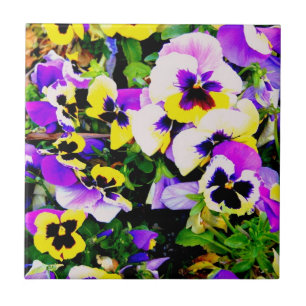 azulejo dos pansies da multi-cor