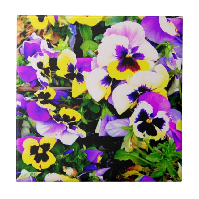 azulejo dos pansies da multi-cor (Frente)