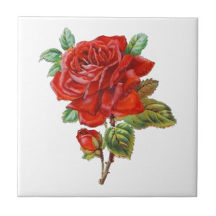 azulejo elegante da decoração da casa da rosa