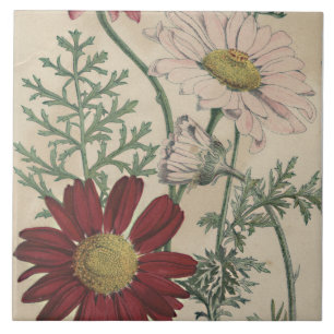 azulejo elegante de margarida