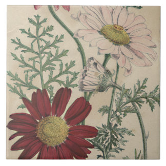 azulejo elegante de margarida