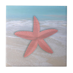 Azulejo Estrela-do-Mar na Praia Costa