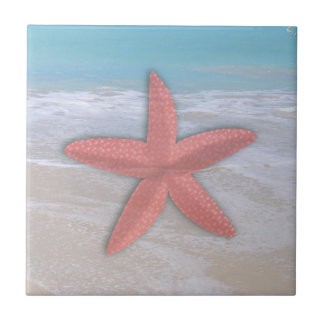 Azulejo Estrela-do-Mar na Praia Costa