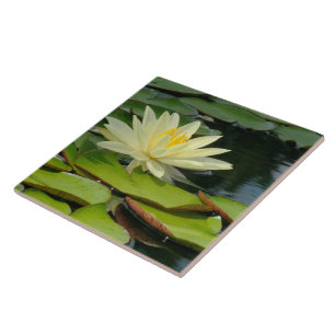 Azulejo/flor amarela de Trivet Lotus (Photog)