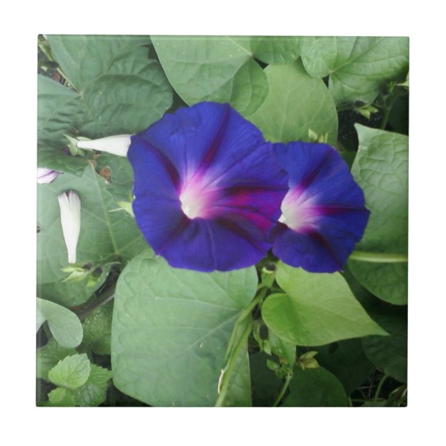 Azulejo floral (Frente)