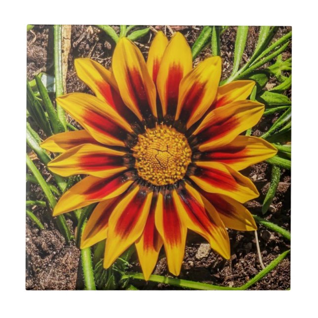 Azulejo Floral 1 (Frente)