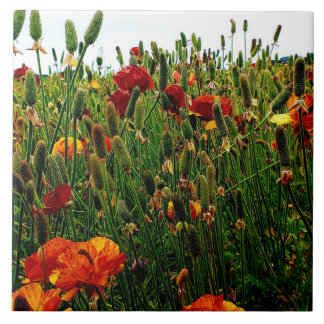 Azulejo floral: Campos de flor, Carlsbad CA