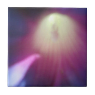 Azulejo floral Cor-de-rosa-Roxo