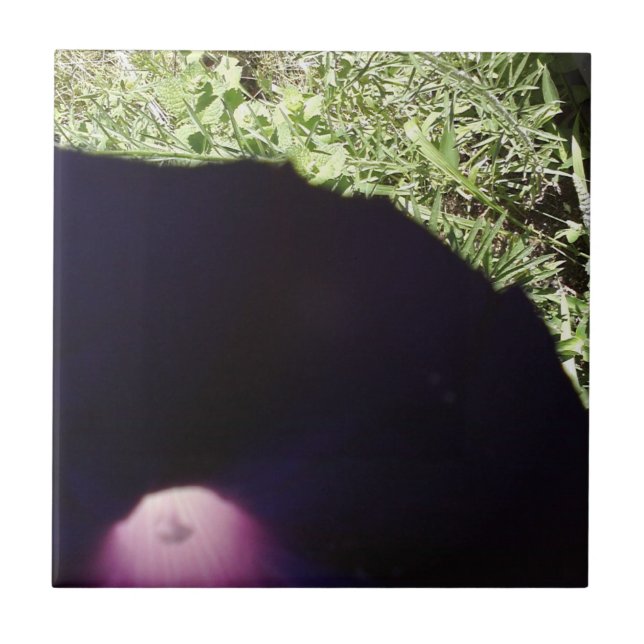 Azulejo floral da foto (Frente)