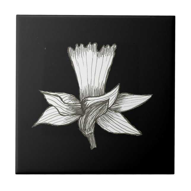 Azulejo Floral Daffodil (Frente)