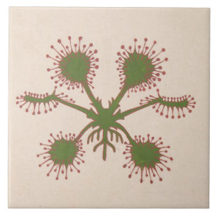 Azulejo Floral de Impressão Repro Vintage