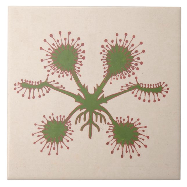 Azulejo Floral de Impressão Repro Vintage (Frente)