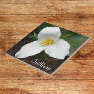 Azulejo Floral Flor Trilliar Branco