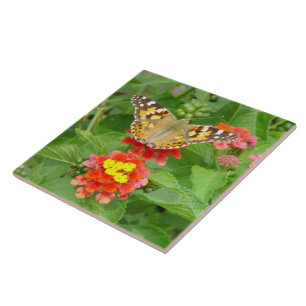 Azulejo Flores de Borboleta