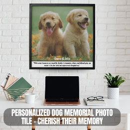 Azulejo Fotográfico personalizado memorial para cã