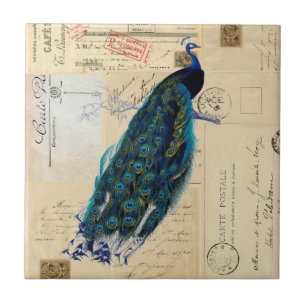 Azulejo francês ou Trivet dos cartão do pavão