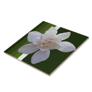 Azulejo - Gardenia em listras