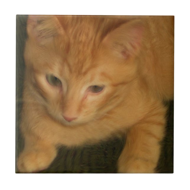 Azulejo gatinho (Frente)