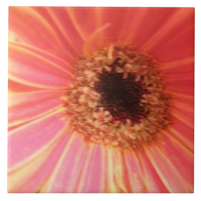 Azulejo Gerbera Daisy Flower (Frente)