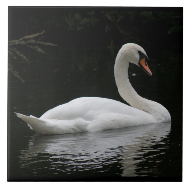 Azulejo Graceful White Swan (Frente)