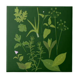 Azulejo Herbs Kitchen