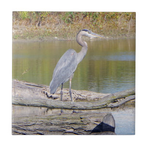 Azulejo Heron Azul